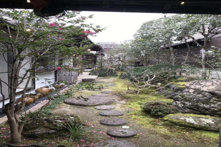 cropped-7D77AC3F-3D8E-4227-A2E5-ED759E403DB7-scaled-1